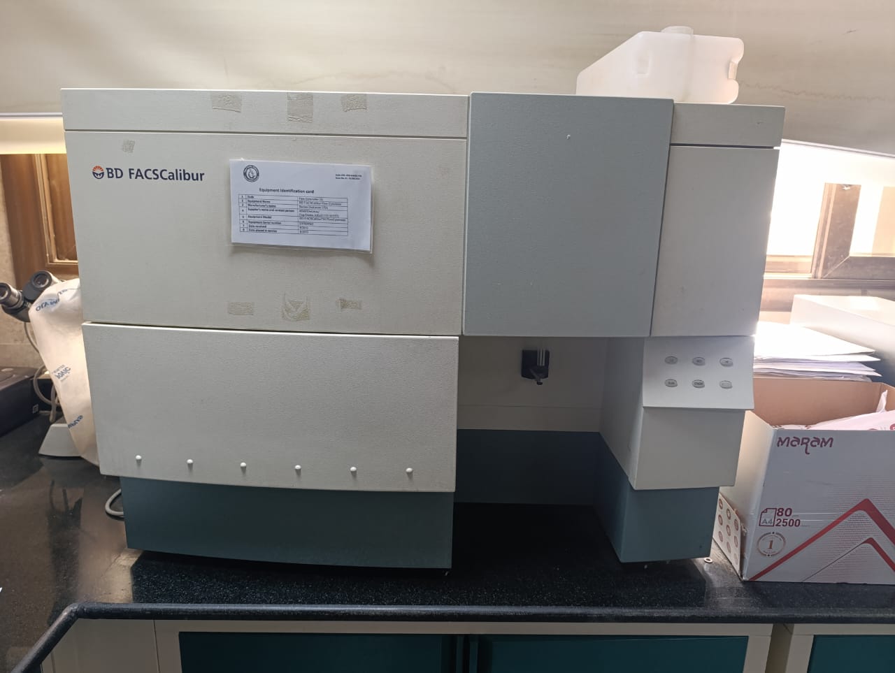 BD FACSCalibur flow cytometer